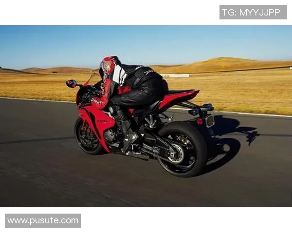 理智与激情的结合最理智的足球明星如何在赛场与生活中做出明智选择