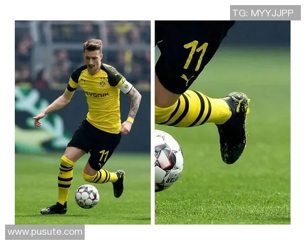 全球著名足球明星职业生涯与成就详尽解析大全