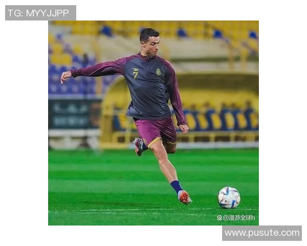 足球明星全景图鉴揭秘全球顶尖球员的传奇与成就