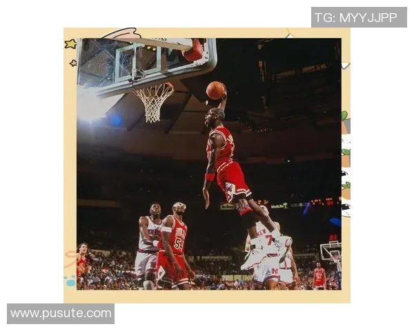 篮球明星灰的传奇人生与赛场背后的奋斗故事探秘